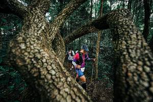 BIB: 
                            <button type="button" onclick="openModal(25394161)" class="btn btn-primary btn-sm float-right btn-popup" data-toggle="modal" data-target=".modal-high-quality">
                        <i class="fas fa-shopping-cart"></i> Add to Cart
                    </button>
                                            <button type="button" onclick="isThisMe(25394161, true)" class="btn btn-success btn-sm float-right btn-popup btn-isme hidden" data-toggle="tooltip" data-placement="bottom" title="นี่คือรูปของคุณใช่ไหม คลิกที่นี่เพื่อเอาเข้าอัลบั้ม">
                        <i class="fas fa-plus"></i> Add to album
                    </button>
                    <button type="button" onclick="isThisMe(25394161, false)" class="btn btn-warning btn-sm float-right btn-popup btn-isnotme hidden">
                        <i class="fas fa-ban"></i> Remove from album
                    </button>